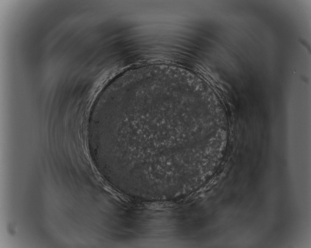 X0000091550241200709071223
