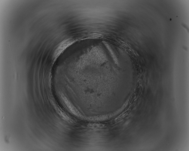 X0000091550242200709071223