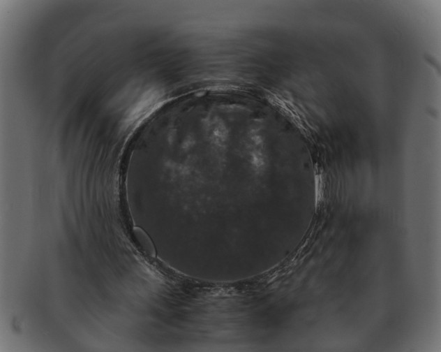 X0000091550243200709071223