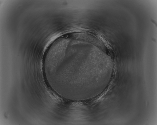 X0000091550244200709071223