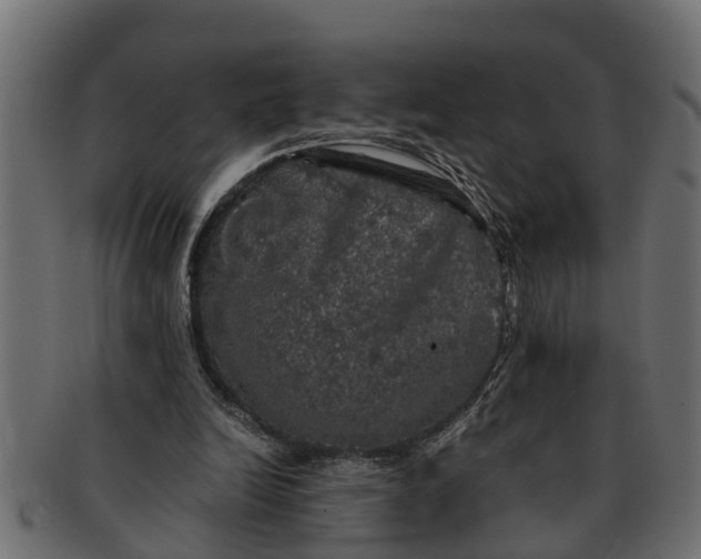 X0000091550246200709071223
