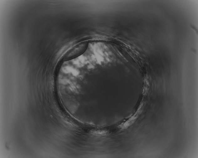 X0000091550247200709071223
