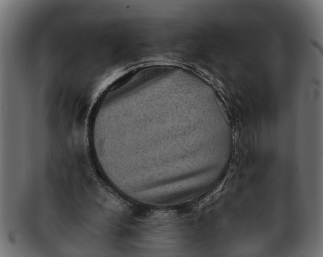 X0000091550248200709071223
