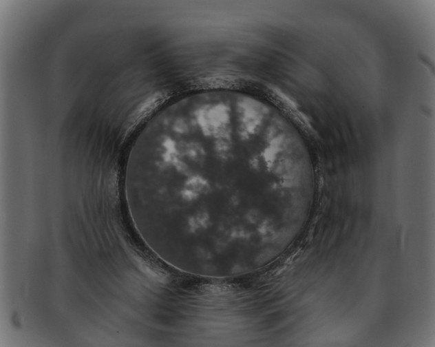 X0000091550250200709071223