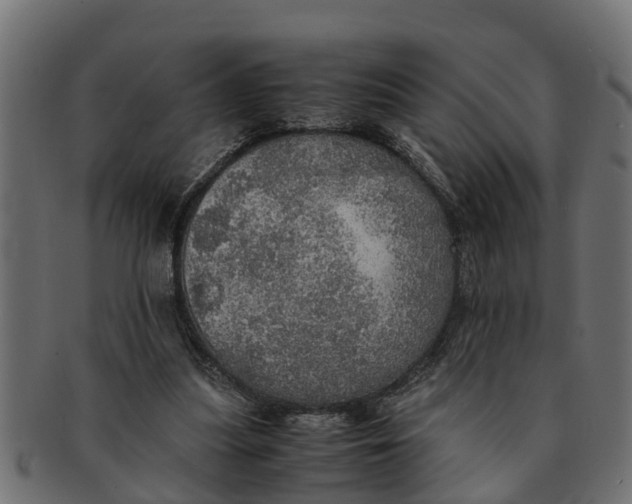 X0000091550251200709071223
