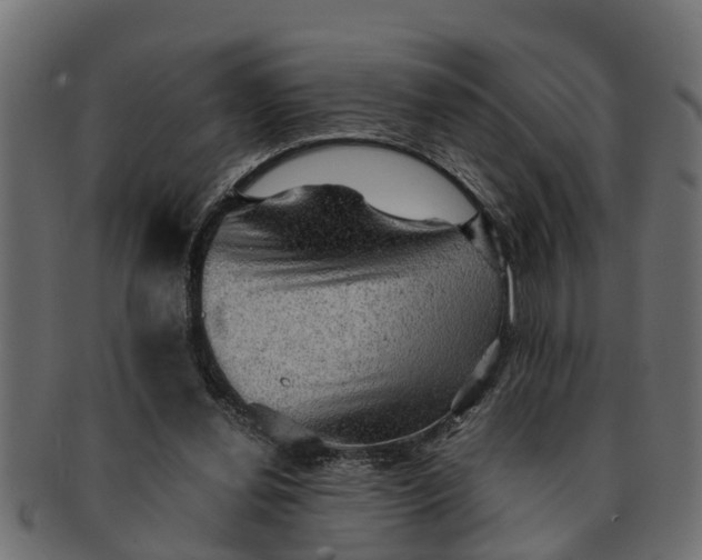 X0000091550252200709071223