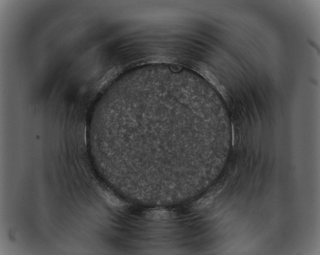 X0000091550253200709071223