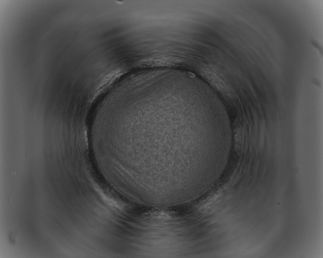 X0000091550254200709071223