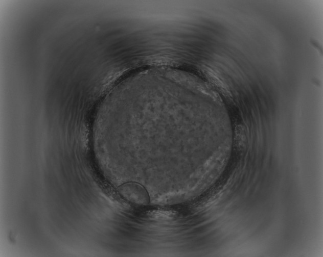 X0000091550255200709071223