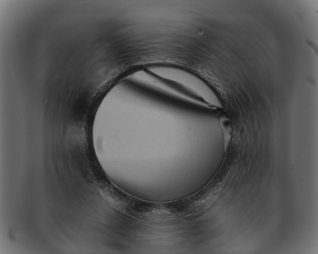 X0000091550256200709071223