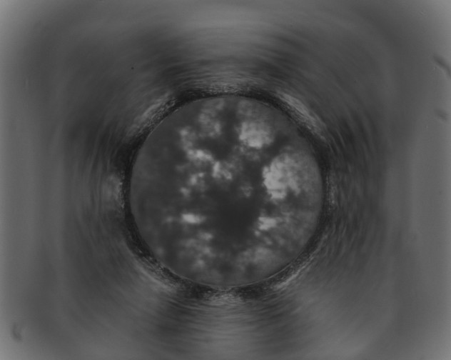 X0000091550258200709071223