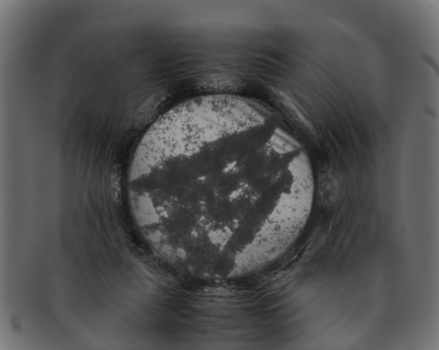 X0000091550259200709071223