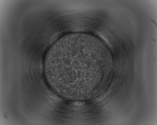 X0000091550261200709071223