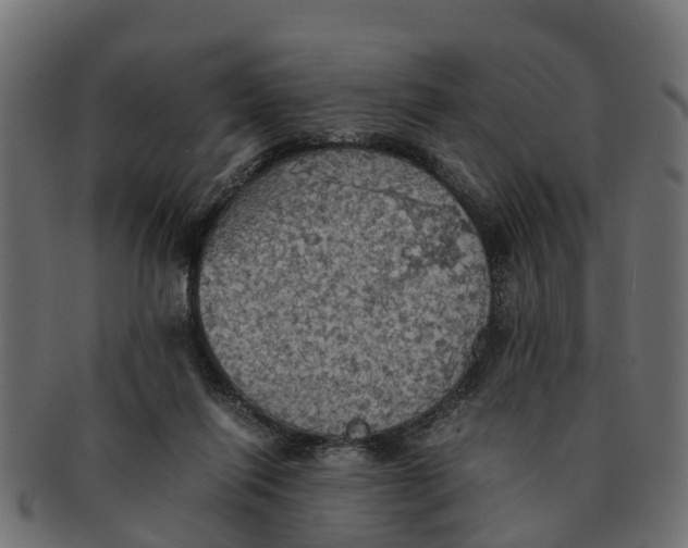 X0000091550262200709071223