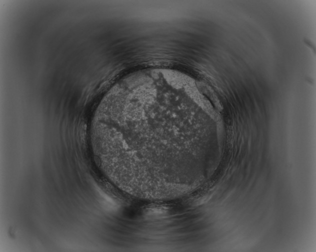 X0000091550263200709071223