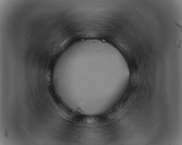 X0000091550264200709071223