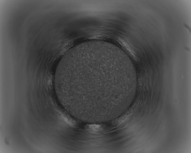 X0000091550265200709071223