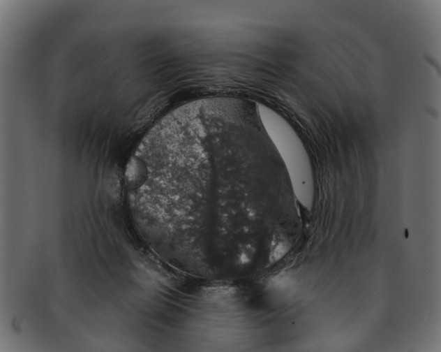 X0000091550266200709071223