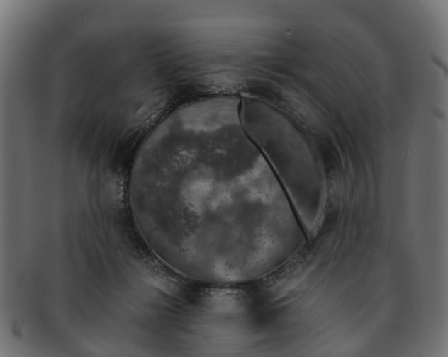 X0000091550268200709071223