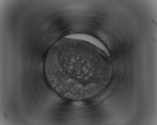 X0000091550269200709071223