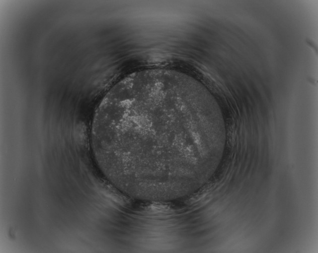 X0000091550270200709071223