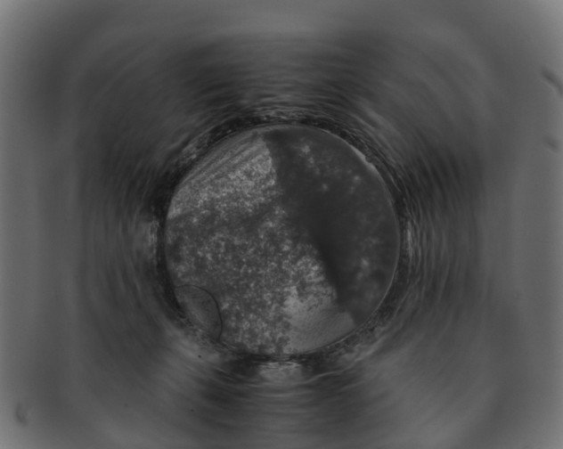 X0000091550271200709071223