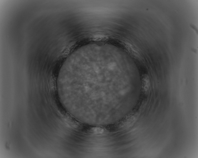 X0000091550272200709071223