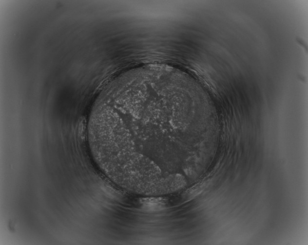 X0000091550273200709071223