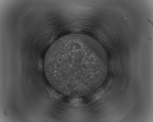 X0000091550274200709071223