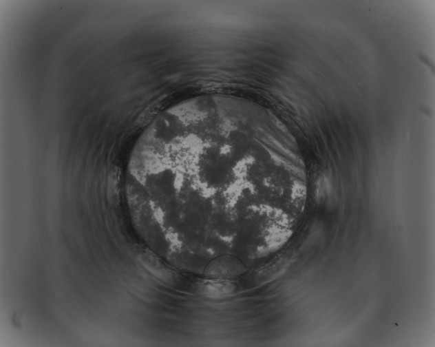 X0000091550275200709071223