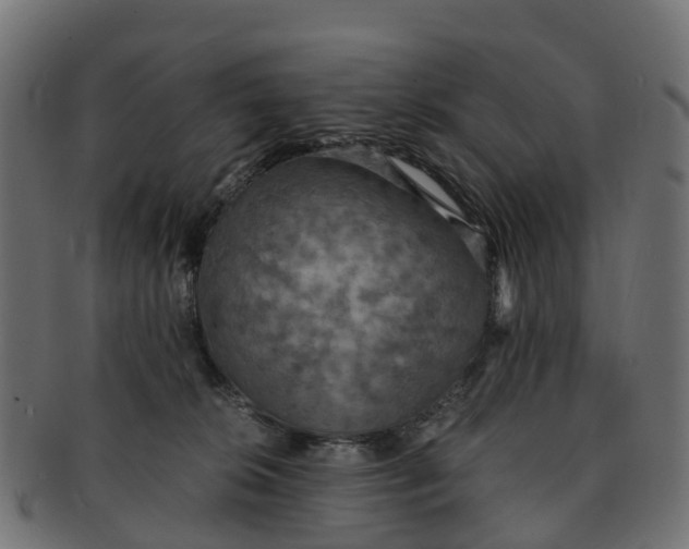 X0000091550276200709071223