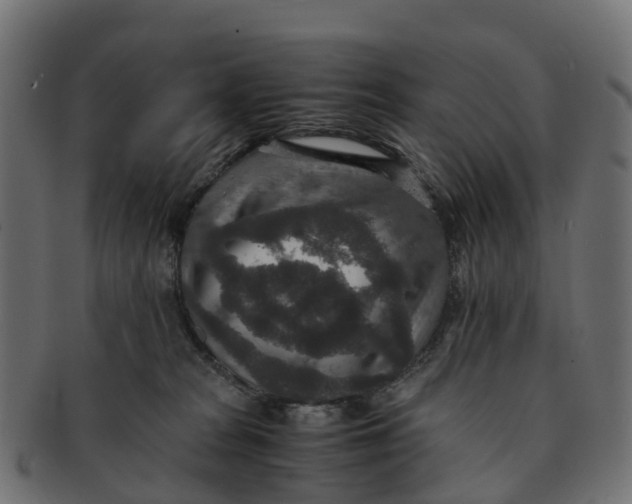 X0000091550277200709071223