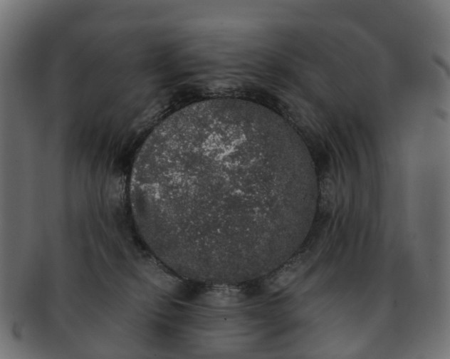 X0000091550278200709071223