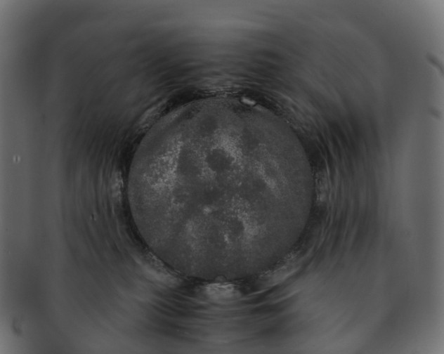 X0000091550279200709071223
