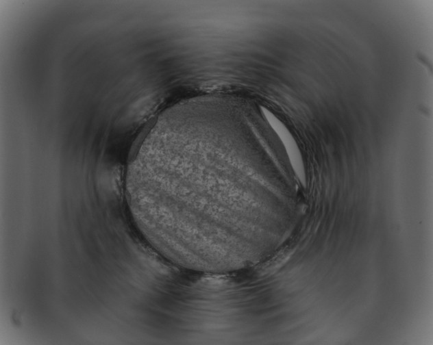 X0000091550280200709071223
