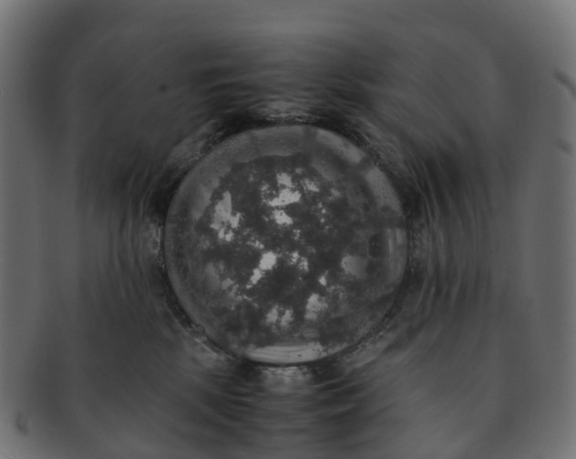 X0000091550281200709071223