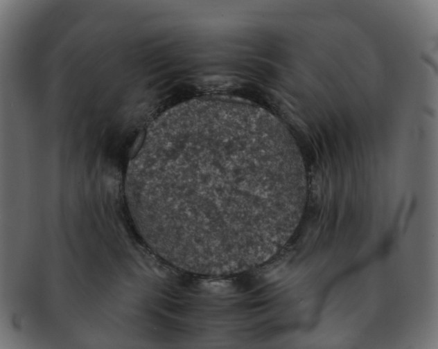 X0000091550283200709071223