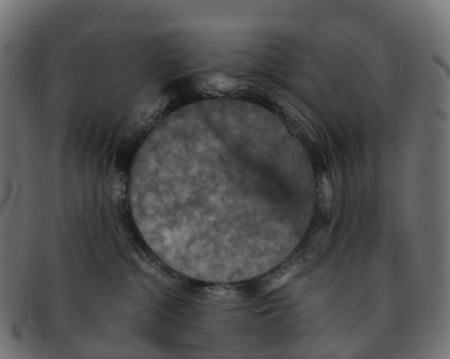 X0000091550284200709071224