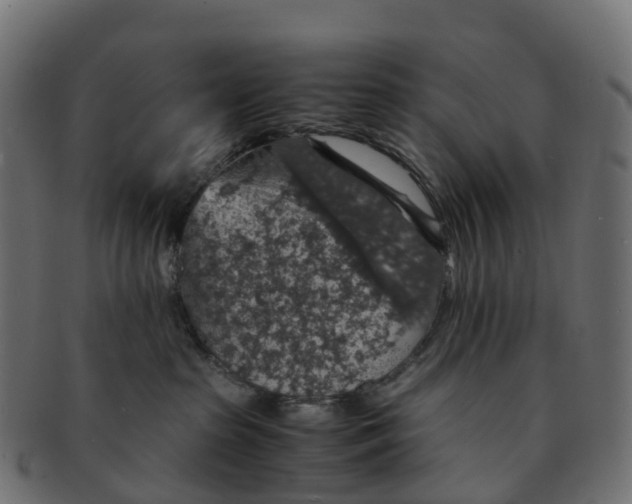X0000091550285200709071224