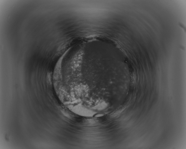 X0000091550286200709071224