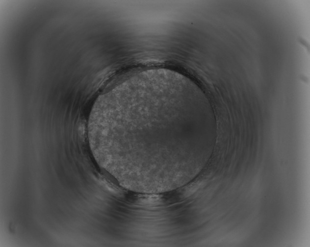 X0000091550288200709071224