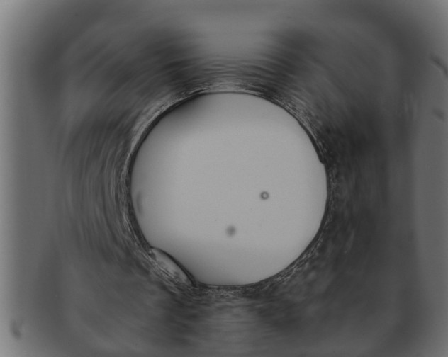 X0000091550289200709071223