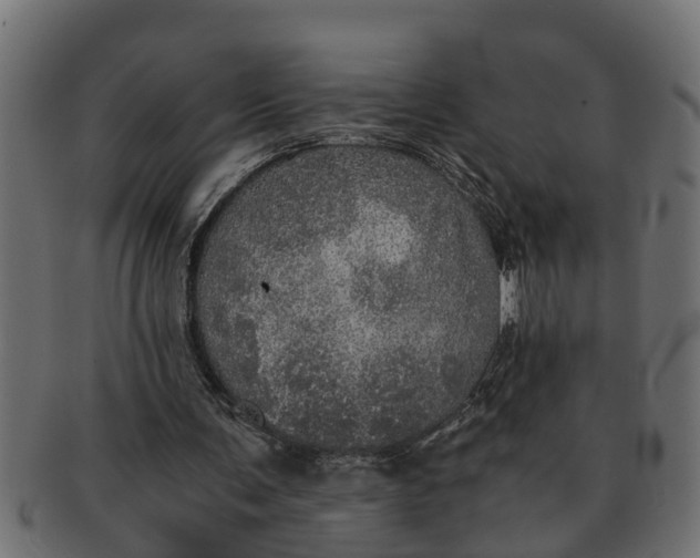 X0000091550291200709071223