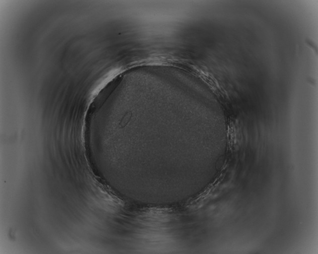 X0000091550292200709071223