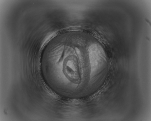 X0000091550293200709071223