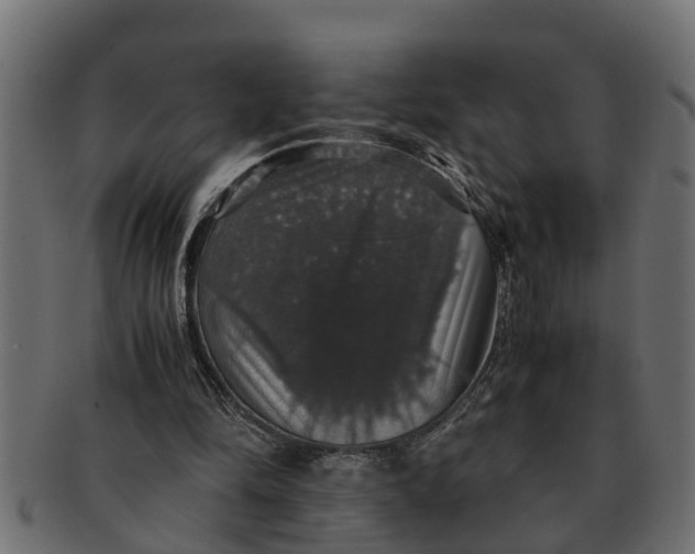 X0000091550294200709071223