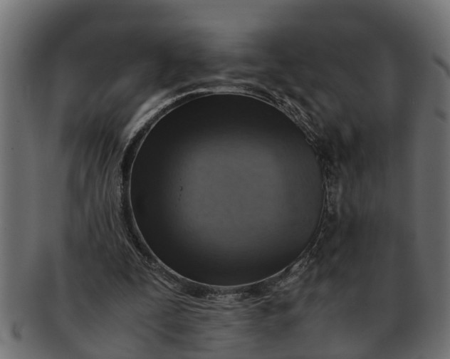 X0000091550295200709071223
