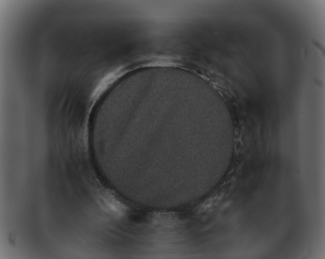 X0000091550296200709071223