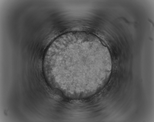 X0000091550297200709071223