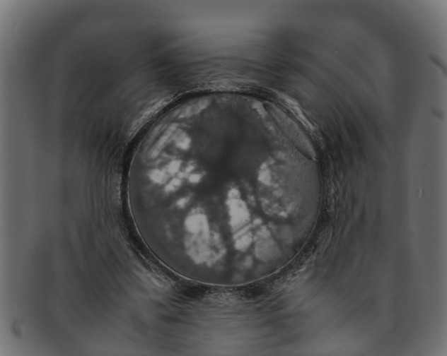 X0000091550299200709071223
